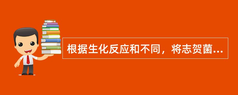 根据生化反应和不同，将志贺菌属分为4个血清群（）