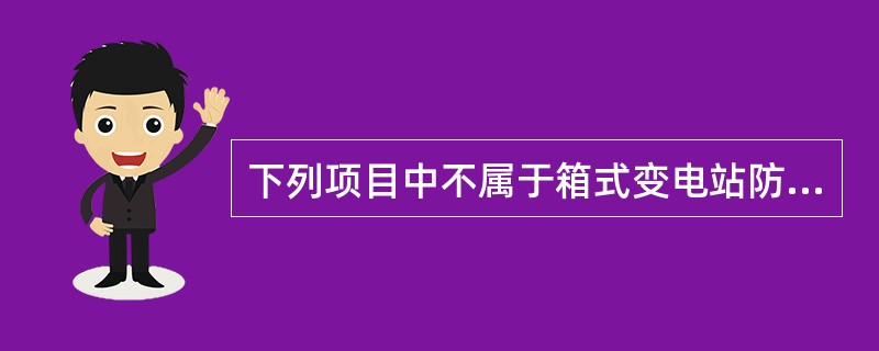 下列项目中不属于箱式变电站防雷接地系统的是（）