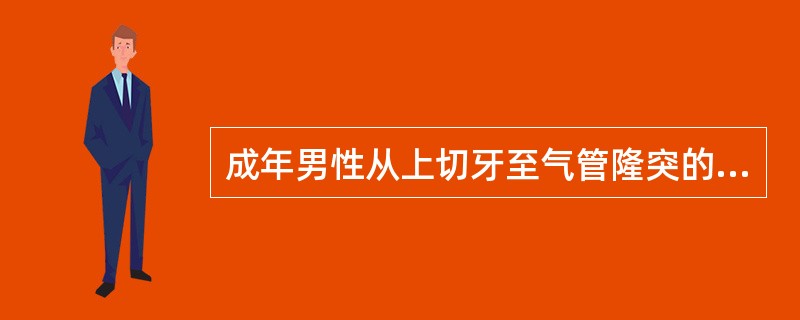 成年男性从上切牙至气管隆突的距离均为（）。