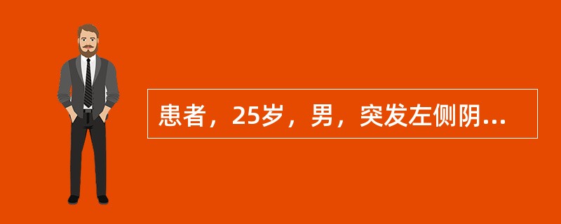 患者，25岁，男，突发左侧阴囊区疼痛，行Tc阴囊显像如图，正确的诊断是()