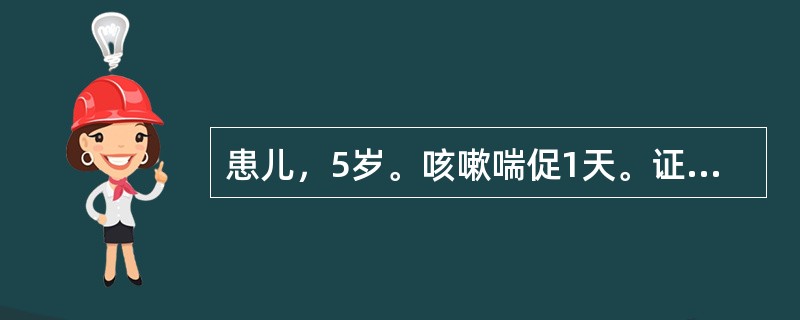 患儿，5岁。咳嗽喘促1天。证见恶寒发热，咳嗽气喘，喉间痰鸣，痰多清稀，形寒肢冷，