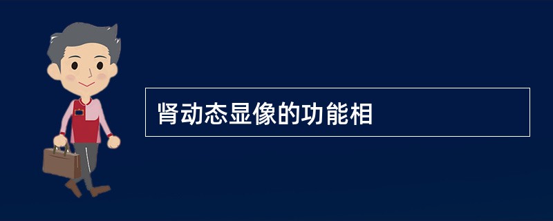 肾动态显像的功能相