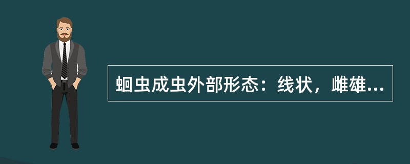 蛔虫成虫外部形态：线状，雌雄异体，（），体表光滑有横纹