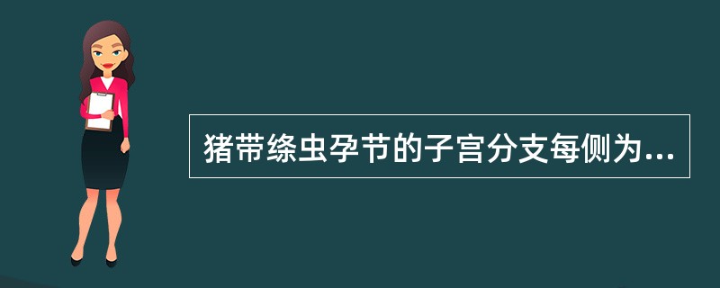 猪带绦虫孕节的子宫分支每侧为（）支，而牛带绦虫为（）支。