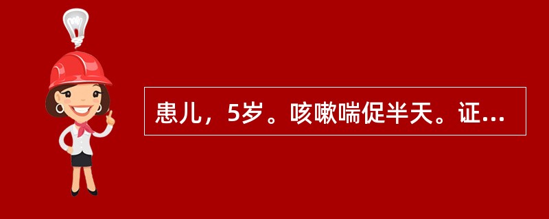 患儿，5岁。咳嗽喘促半天。证见咳嗽气喘，喉间痰鸣，恶寒，形寒肢冷，面色淡白，舌淡