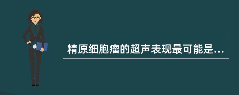 精原细胞瘤的超声表现最可能是（）。
