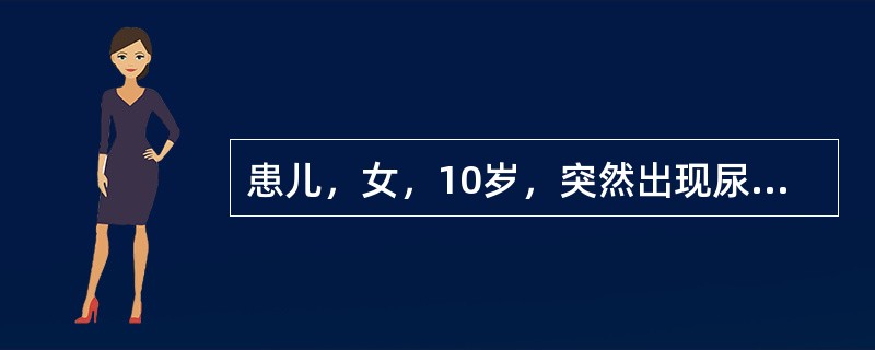 患儿，女，10岁，突然出现尿频、尿痛，尿检查：尿蛋白（+），红细胞5～7个/HP