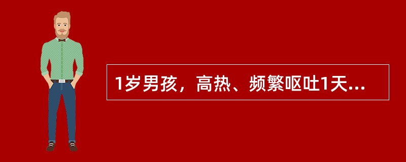 1岁男孩，高热、频繁呕吐1天。查体：面色较苍白，双眼凝视，心肺无异常，颈软，克、