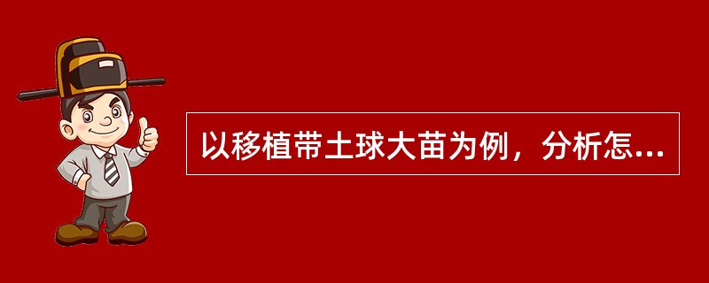 以移植带土球大苗为例，分析怎样科学移植大苗？