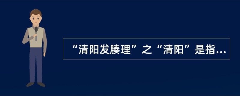 “清阳发腠理”之“清阳”是指（）