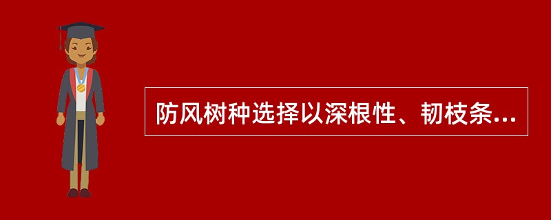 防风树种选择以深根性、韧枝条者为佳，如悬铃木、梧桐。