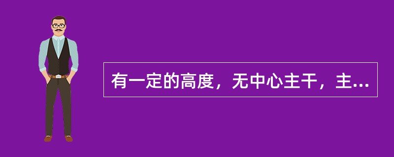 有一定的高度，无中心主干，主干上部分生3-4个主枝，均匀向四周排列，各主枝再分生