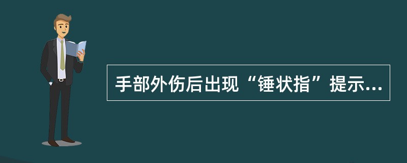 手部外伤后出现“锤状指”提示指骨骨折部位是（）。