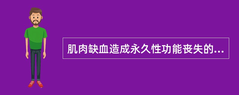 肌肉缺血造成永久性功能丧失的时间为（）。