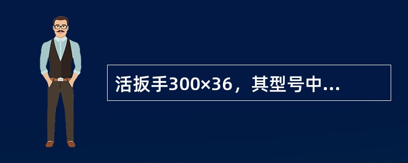 活扳手300×36，其型号中36代表的意义为（）