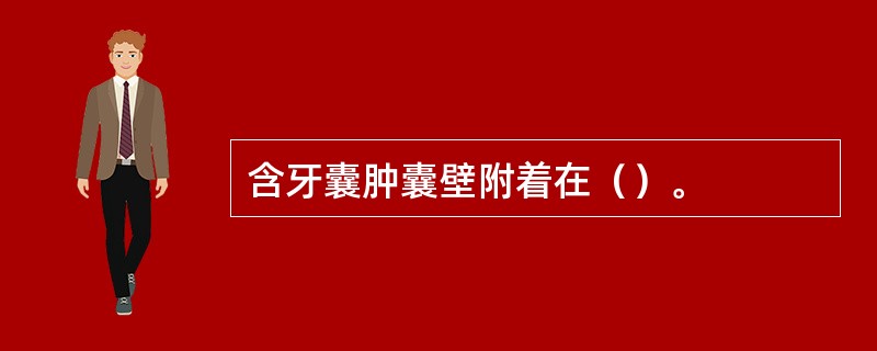 含牙囊肿囊壁附着在（）。