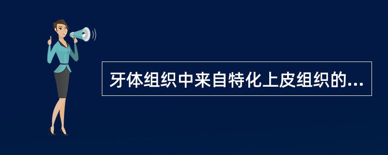 牙体组织中来自特化上皮组织的是（）