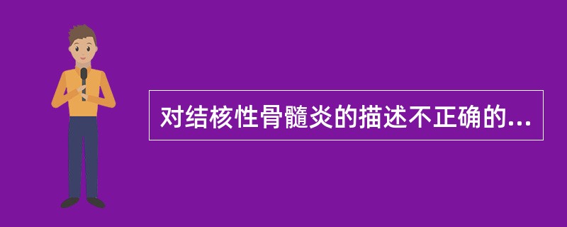 对结核性骨髓炎的描述不正确的是（）。