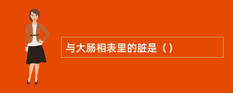 与大肠相表里的脏是（）