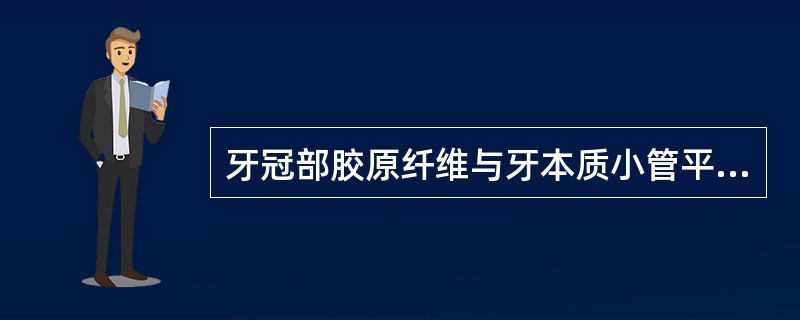 牙冠部胶原纤维与牙本质小管平行排列的是（）