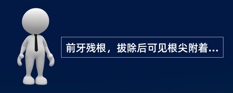 前牙残根，拔除后可见根尖附着一团组织，镜下见淋巴细胞、浆细胞浸润，成纤维细胞和血