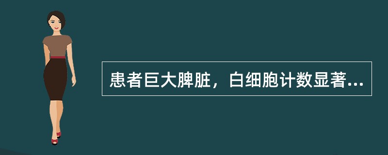 患者巨大脾脏，白细胞计数显著增高，可达50×109/L，并见少许各种幼稚粒细胞，