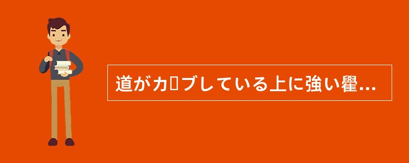 道がカーブしている上に強い雤のせいで（）が悪く、運転は危険な状況だった。