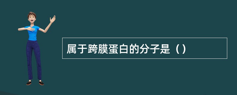 属于跨膜蛋白的分子是（）