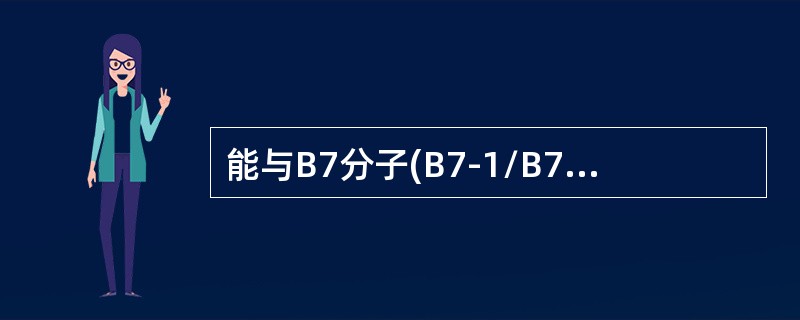 能与B7分子(B7-1/B7-2)结合的是()