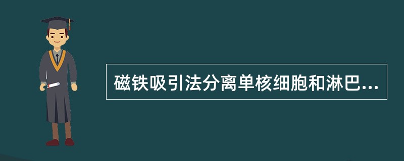 磁铁吸引法分离单核细胞和淋巴细胞的原理是()