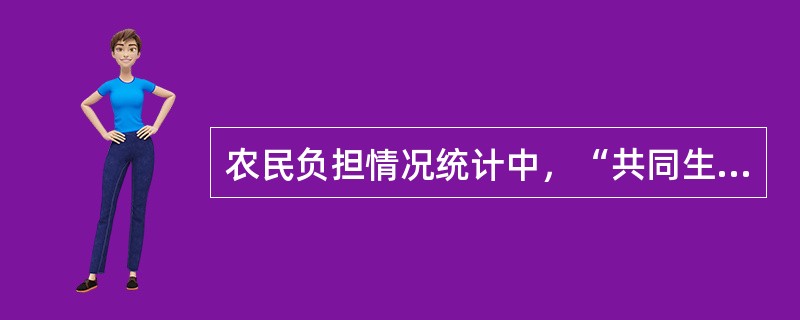 农民负担情况统计中，“共同生产费用”指标不包括（）。