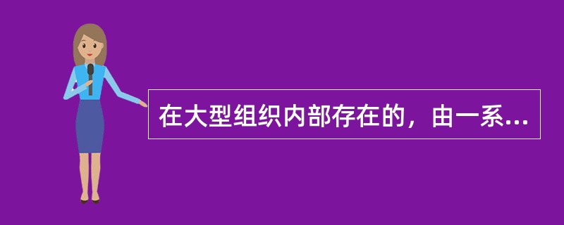 在大型组织内部存在的，由一系列规则和程序知道组织内部雇佣关系调整而形成的有序市场