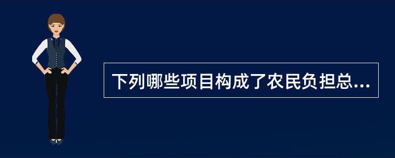 下列哪些项目构成了农民负担总量（）。