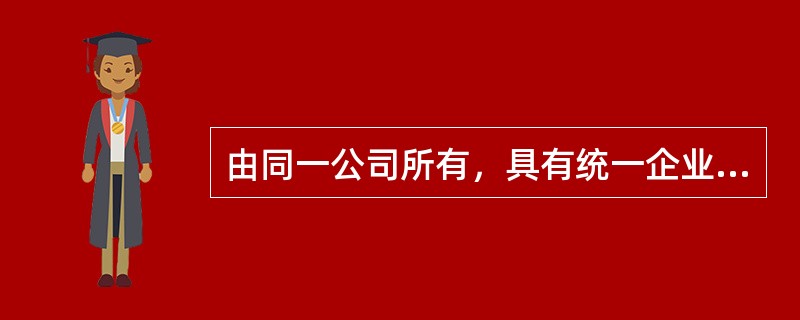 由同一公司所有，具有统一企业标识，实行统一经营管理模式的，称为()。