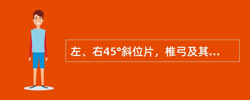 左、右45°斜位片，椎弓及其附件投影似“狗”形，峡部裂时似狗颈戴项链，同侧横突为