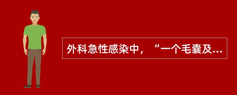 外科急性感染中，“一个毛囊及其所属皮脂腺的急性化脓性感染，常扩展到皮下组织”属于