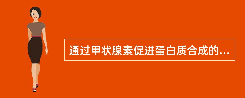 通过甲状腺素促进蛋白质合成的元素是（）。