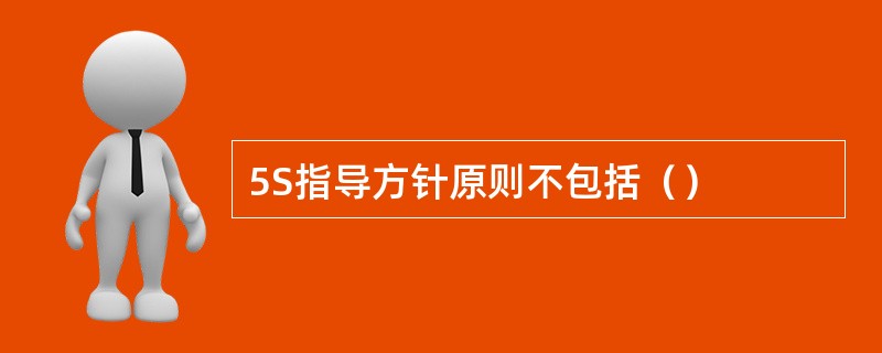5S指导方针原则不包括（）