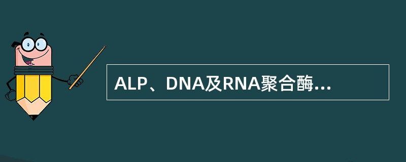 ALP、DNA及RNA聚合酶以及乙醇脱氢酶等酶均含有（）。