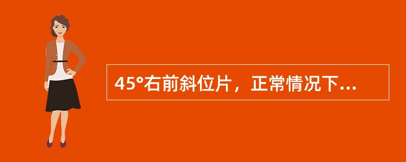 45°右前斜位片，正常情况下心前缘自上而下为（）。