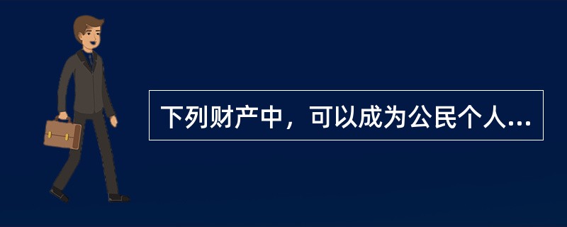 下列财产中，可以成为公民个人合法财产的有（）。