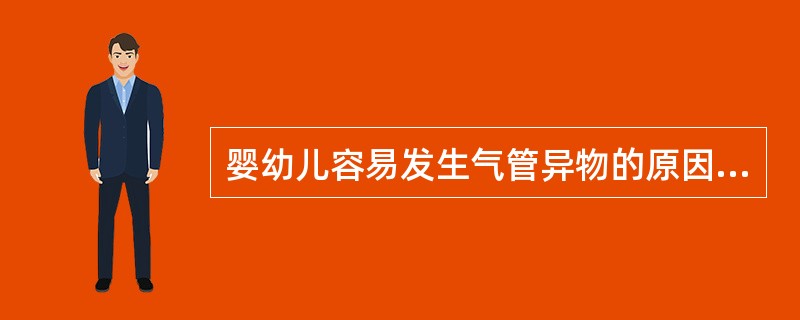 婴幼儿容易发生气管异物的原因是（）.