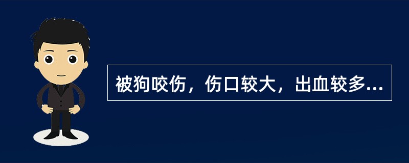 被狗咬伤，伤口较大，出血较多时，应（）。
