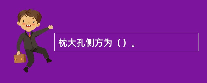 枕大孔侧方为（）。