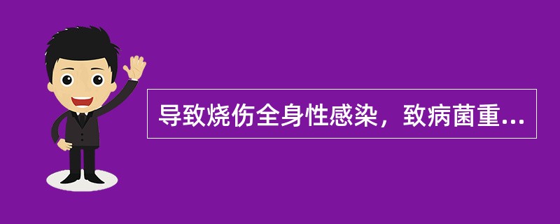 导致烧伤全身性感染，致病菌重要的内源性来源是（）