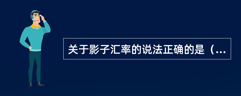 关于影子汇率的说法正确的是（）。