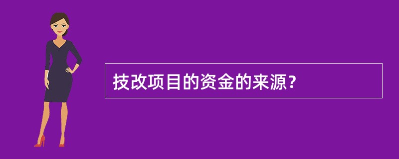 技改项目的资金的来源？