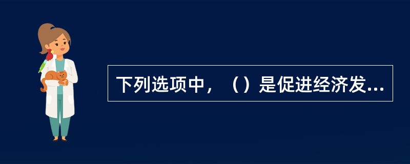 下列选项中，（）是促进经济发展目标和社会目标实现的基本前提，是建设和谐社会、实现