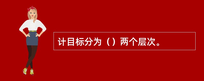 计目标分为（）两个层次。