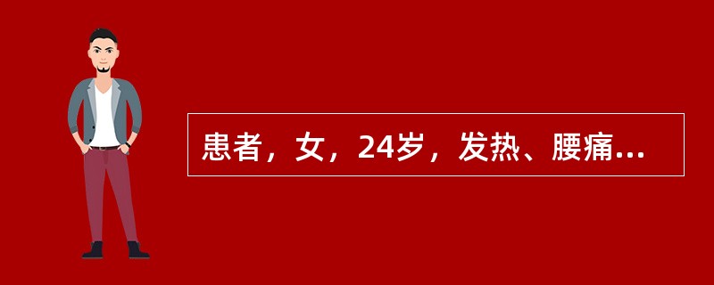 患者，女，24岁，发热、腰痛3天。体温38℃，巩膜黄染，肝肋下1.0cm，脾肋下